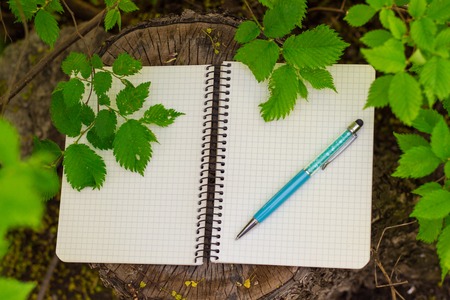 Top view of open spiral blank notepad with pen on wood stump background and green leavesの写真素材