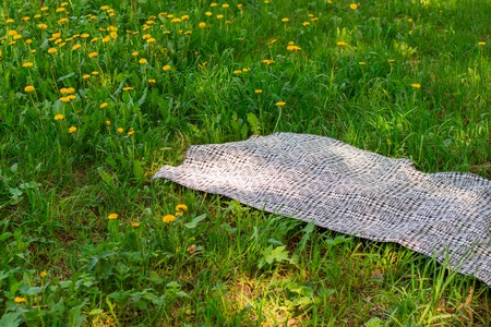Plaid for picnic on green grassの写真素材