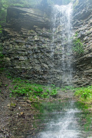 Panoramic beautiful deep forest waterfall in Carpathianの写真素材