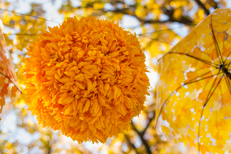 umbrella on leaves background outside park, autumn seasonal card conceptの写真素材