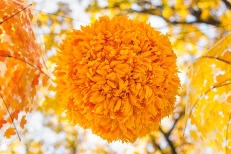 Colorful umbrella on leaves backround outside in park, autumn seasonal card conceptの写真素材