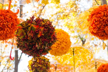 Colorful umbrella on leaves backround outside in park, autumn seasonal card conceptの写真素材