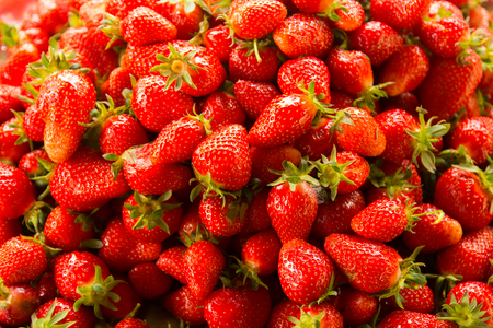 background from the freshly harvested red strawberriesの写真素材
