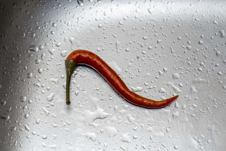 red hot chili peppers look like shoes on a grey background with water dropsの写真素材