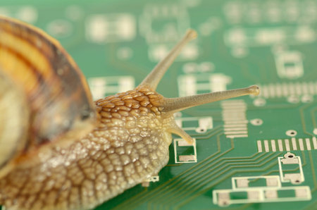 Garden Snail in slow motion on circuit boardの写真素材