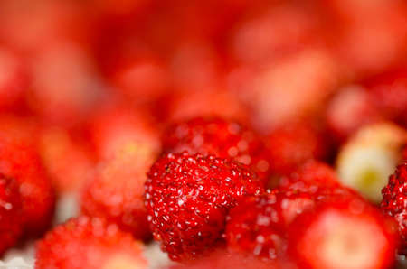 Strawberries backgroundの写真素材
