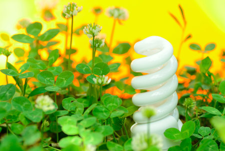 energy-saving lamp in green grass