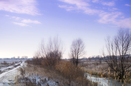 Countryside Winter Road and River, Blue Skyの写真素材