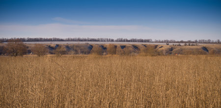 Countryside