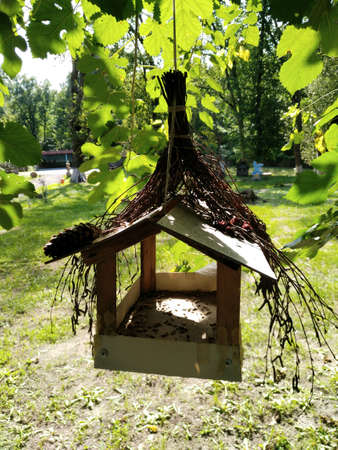 bird feedersの写真素材