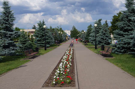 Alley and spruceの写真素材