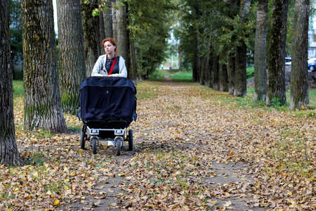 Mom with stroller walks in autumn park alleyの写真素材