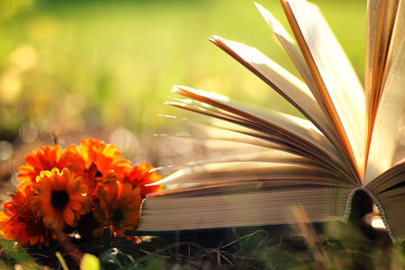open book with flower on grass sunset time