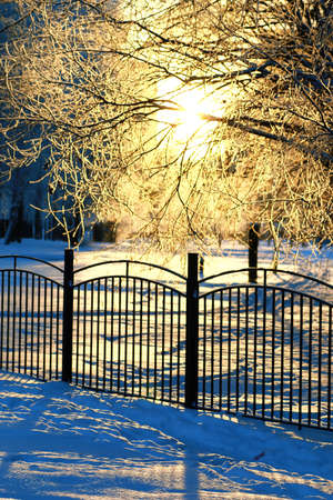 fence covered snow winter park outdoor natureの写真素材