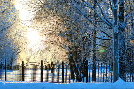 fence covered snow winter park outdoor natureの写真素材