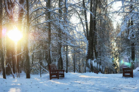 wooden bench and stairs in winter parkの写真素材