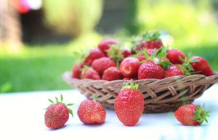 fresh strawberry in a basketの写真素材