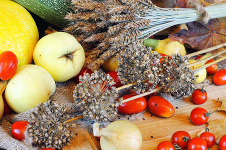 Tomato, pumpkins and vegetablesの写真素材
