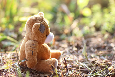 alone toy teddy bear on the groundの写真素材