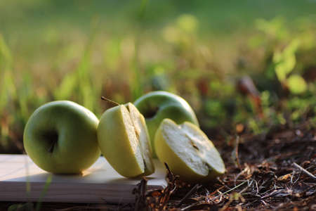 fresh green apple on the groundの写真素材