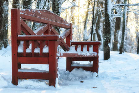 wooden brown bench in winter snowy parkの写真素材