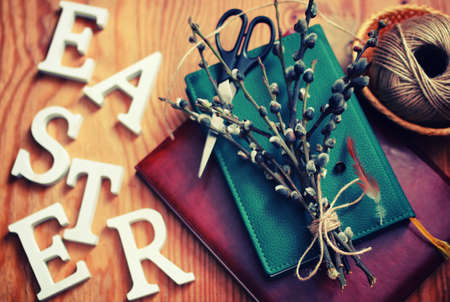 ester backgroundの写真素材