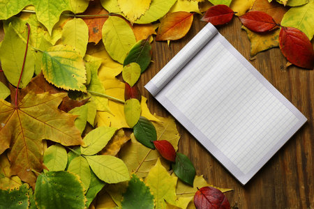 empty paper on autumn leaves background and penの写真素材