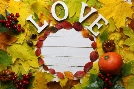 autumn maple leaves background shape roundの写真素材