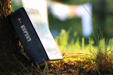inscription on the book of the Bible "Bible" with cross in natureの写真素材
