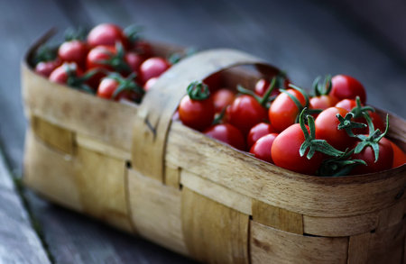 fresh small  cherry tomatoes   in the basketの写真素材