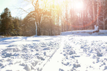 large suburban landscape of the park on a sunny winter dayの写真素材