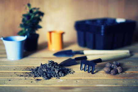 preparations for the new summer season preparation plant seedlings and courting herの写真素材