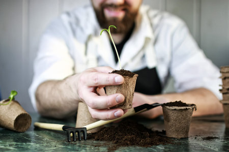 preparations for the new summer season preparation plant seedlings and courting herの写真素材