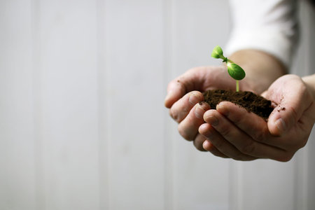 preparations for the new summer season preparation plant seedlings and courting her