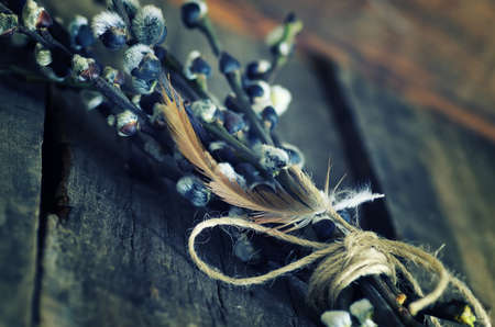 dry twigs of willow with buds  on the old wooden backgroundの写真素材