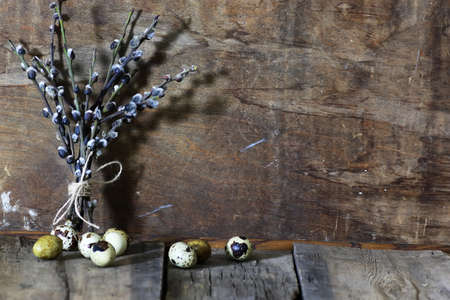 dry twigs of willow with buds on them, the texture on the old wooden backgroundの写真素材