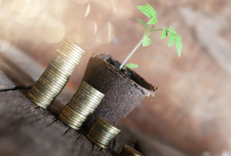 Photo Business success concept in the form of the germ of a small plant in a pot and the stacks of gold coinsの写真素材
