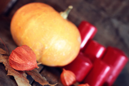 Small orange pumpkin on old wooden shabby styleの写真素材