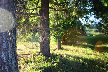 wicker hammock on nature in summer evening at sunsetの写真素材