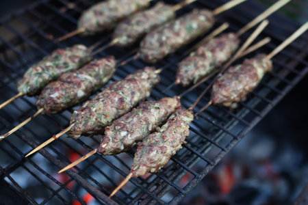 Cooking meat on the fire and kebabs on skewers on the grillの写真素材