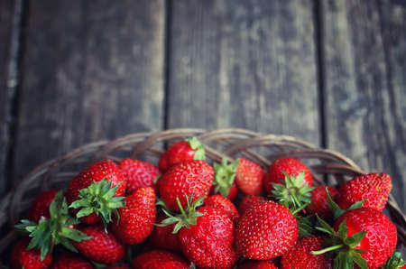 a fresh crop of delicious red ripe juicy strawberries on natureの写真素材