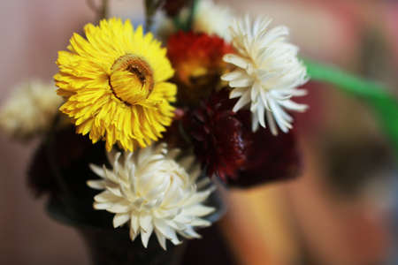 lovely little bouquet of dried colorful flowers in a vase modestの写真素材