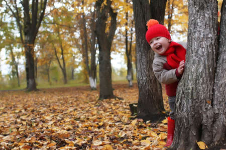 kid hidden behind the tree  in autumn parkの写真素材