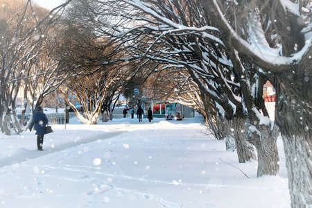 urban landscape on a sunny winter day, walkways and streetsの写真素材