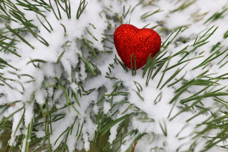 Winter in all its manifestations snow-covered streets of trees and lawn