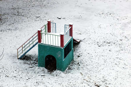 Snow clung to branches of bare trees in the early evening after a winter snowfallの写真素材
