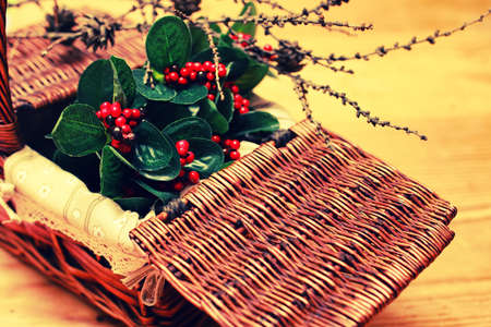 red berries on a green branch in brown wicker basketの写真素材