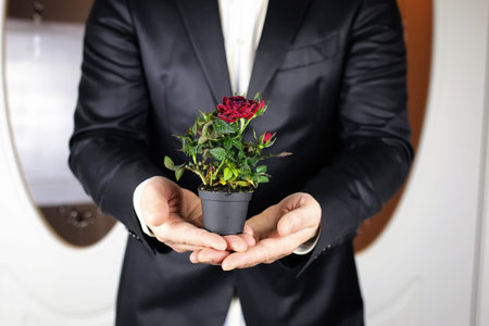 Rose in hand man suit