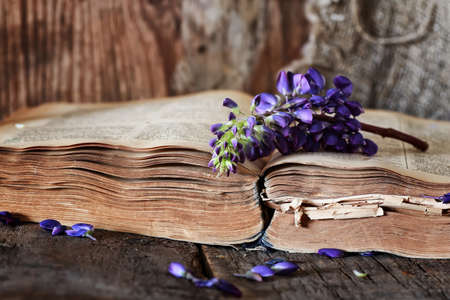 old tattered book on a wooden table textural found an artifact of historyの写真素材