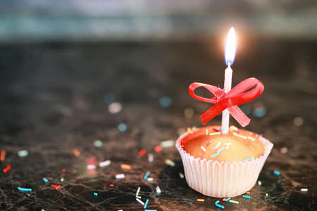 little delicious cupcake with a candle symbol of celebration eventsの写真素材